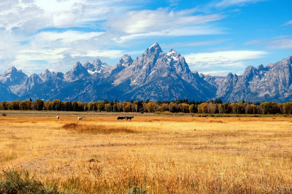 Jackson Hole - Best Places to visit in the USA