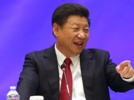 Global Economy Struggles whereas China's Q3 GDP grows by 4.9%
