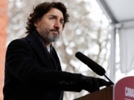 justin trudeau to become prime minister again in canada